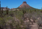 Paisaje