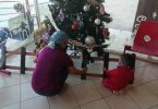 Actividades navideñas